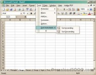 Worksheet Sort screenshot